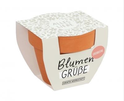 Blumengr��e  - Alles Liebe
