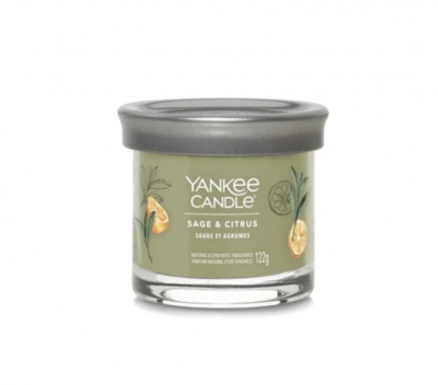 Kleiner Tumbler - Sage & Citrus