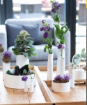 schmale Vase 
