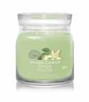 Mittlere Signature Kerze *Vanilla Lime*