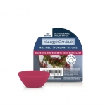 Sparkling Winterberry